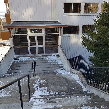 Piste Verte Appartamento Besse-et-Saint-Anastaise Esterno foto